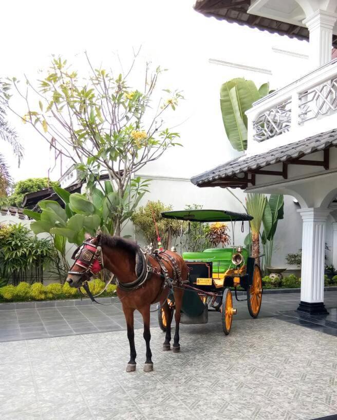Raintree Boutique Villa & Gallery Yogyakarta Exterior photo